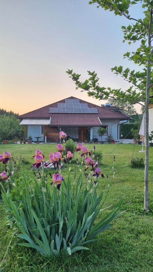 Northwest Studio Apartments Klagenfurt am Woerthersee Buitenkant foto